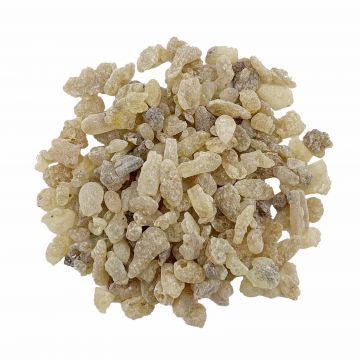 Frankincense Resin Peasize, Boswellia serrata, India, Per lb.