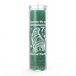 Horn of Plenty 7 Day Candle, Green