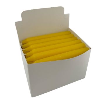 Yellow Generic Household Candles 6" - Display Box of 36