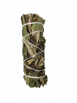 Eucalyptus & Yerba Santa Smudge Stick - Small 4" (6 Pack)