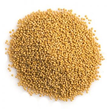Mustard Seed, Yellow, Whole, 1 lb